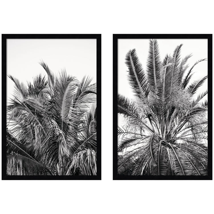 Kate and Laurel Alicia Bock Palm 2-Piece Framed Wall Art Set featuring botanical illustrations on white backgrounds.
