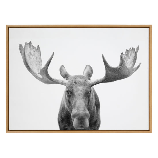 Black and white moose framed canvas wall art by Amy Peterson Art Studio, featuring detailed animal illustration in a sleek frame.