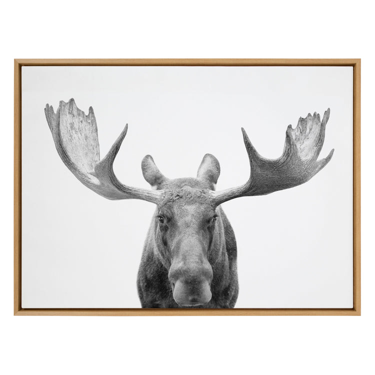 Black and white moose framed canvas wall art by Amy Peterson Art Studio, featuring detailed animal illustration in a sleek frame.