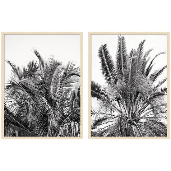Kateandlaurel Alicia Bock Palm 2-piece framed wall art set featuring botanical illustrations on white backgrounds.
