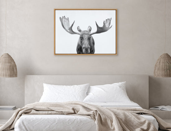 Black and white moose framed canvas wall art by Amy Peterson Art Studio showcasing a detailed moose illustration.