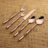 INOX Artisans Tedpole PVD Gold Flatware 5-Piece Place Setting with fork, knife, spoon, and salad fork for dining elegance