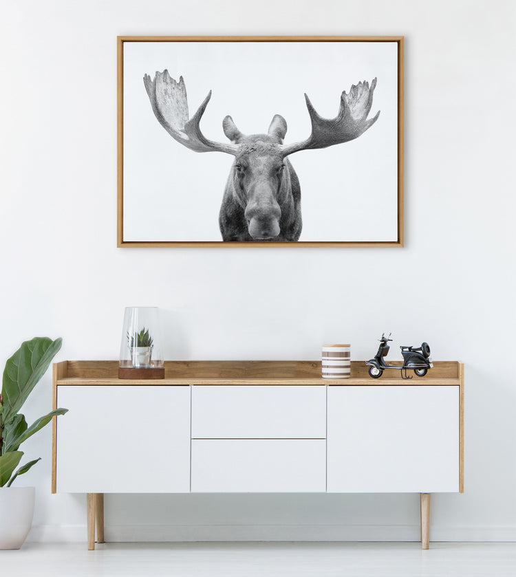 Black and white moose framed canvas wall art by Amy Peterson Art Studio, featuring detailed animal illustration.