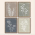 Framed Botanical Print Wall Art Set of 4 - Modern Home & Kitchen