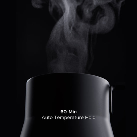Saki Baristan gooseneck electric kettle with a sleek design, perfect for precise pouring and brewing tea or coffee.