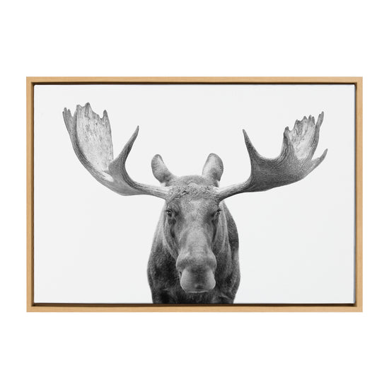 Black and white moose framed canvas wall art by Amy Peterson Art Studio, featuring nature-inspired wildlife decor.