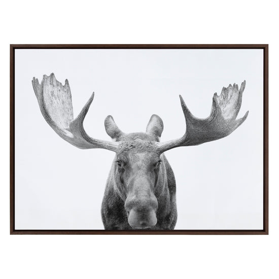 Black and white moose framed canvas wall art by Amy Peterson Art Studio, featuring natural woodland scene.