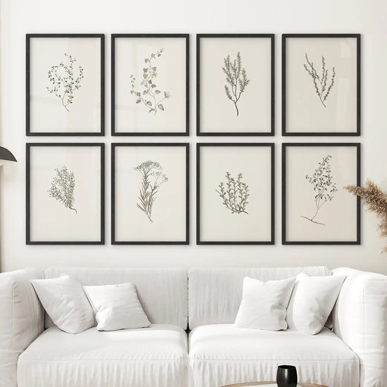 Set of 8 minimalist herb botanical prints by Print Sets in black frames, ideal floral art decor for living rooms.