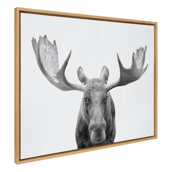Black and white moose framed canvas wall art by Amy Peterson Art Studio, featuring detailed animal illustration in a sleek frame.
