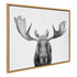 Black and white moose framed canvas wall art by Amy Peterson Art Studio, featuring detailed animal illustration in a sleek frame.