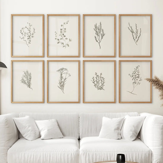 Set of 8 vintage herb botanical prints by Print Sets, framed in wood, perfect for floral art decor in living rooms.
