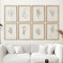Set of 8 vintage herb botanical prints by Print Sets, framed in wood, perfect for floral art decor in living rooms.
