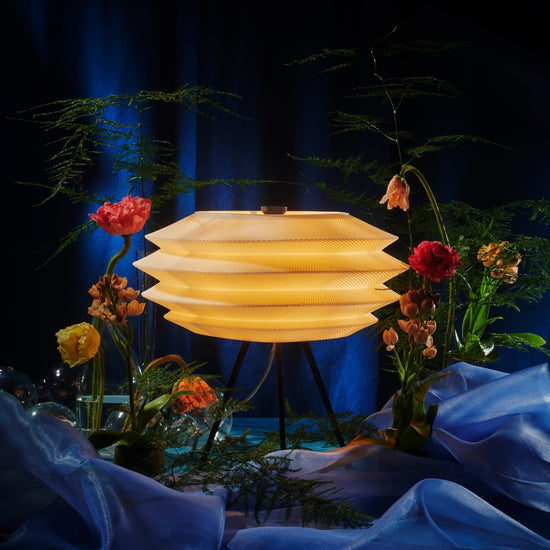 CS.01  – Arcas - Modern Home & Kitchen