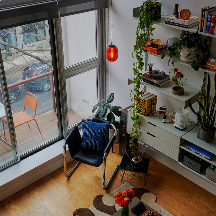 Allium Pendant - Modern Home & Kitchen