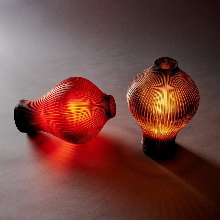 Baleine Lamp - Modern Home & Kitchen