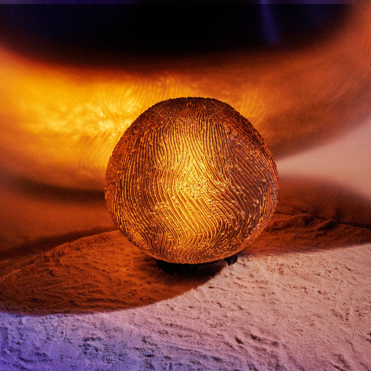 Coral Lamp - Modern Home & Kitchen