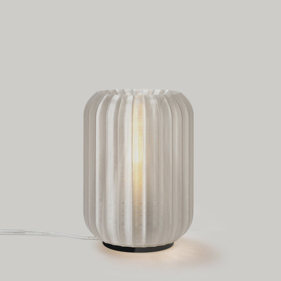 Mini Allium Lamp - Modern Home & Kitchen